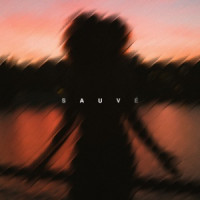 Dioo - SAUVÉE